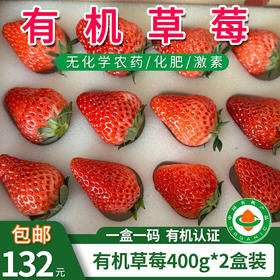 【包邮】有机草莓400g*2盒/4盒装有机认证水果