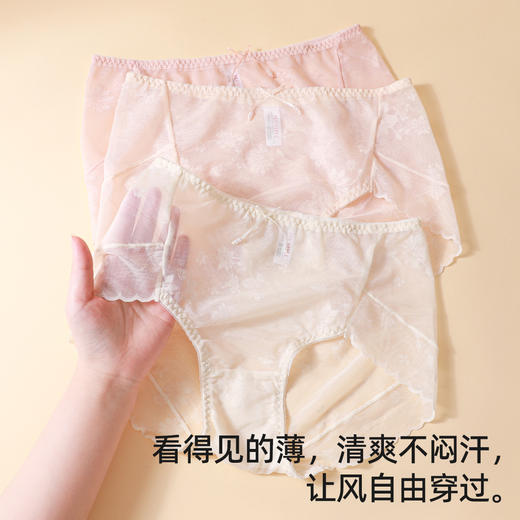 【3条装】熳洁儿 性感蕾丝内裤舒适透气速干桑蚕丝底档24762117 商品图3