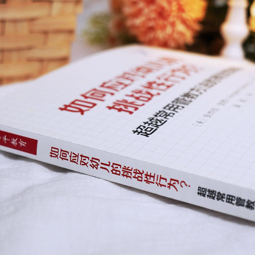 万千教育·如何应对幼儿的挑战性行为？——超越常用管教方法的有效策略 商品图3