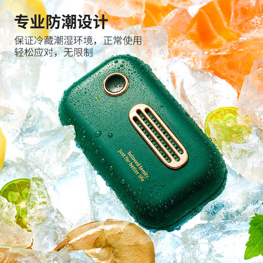 【分仓直发包邮】绿之源冰箱除味杀菌器（颜色可选墨绿色/白色） 商品图1