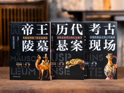 《了不起的中华文明》（全9册）| 历史大牛写给普罗大众的诚意巨作，3000余幅国宝+名画高清实图，文物、古国、帝陵、悬案、考古专门史……华夏5000年文化精髓，一次讲透 商品图2