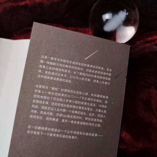 故事课：中国本土IP实训指南 网文 类型小说 短剧 短故事 商品图1