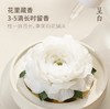 呈白 【茉莉花】非遗瓷花香薰礼盒香氛礼物 商品缩略图3