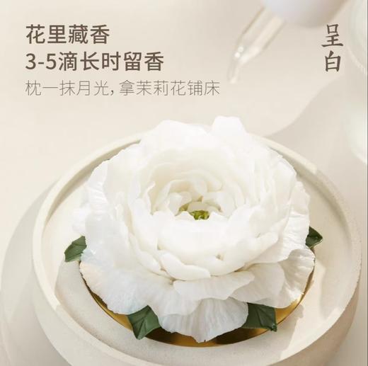 呈白 【茉莉花】非遗瓷花香薰礼盒香氛礼物 商品图3
