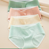 聚乳酸抑菌内裤 | 亲肤舒适 裸感无痕 中腰加宽臀部 纯棉内裤女 随机四色（不同色） 商品缩略图3