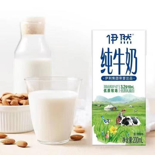 T伊利200ml*10伊然纯牛奶 商品图1