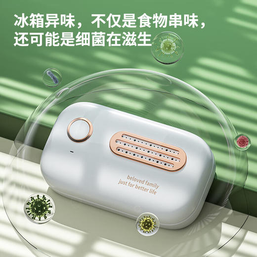 【分仓直发包邮】绿之源冰箱除味杀菌器（颜色可选墨绿色/白色） 商品图2