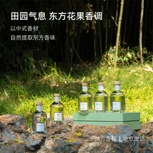 无火香薰丨清平乐系列藤条扩香清新室内持久增香无火香薰生日生日礼物 商品图1