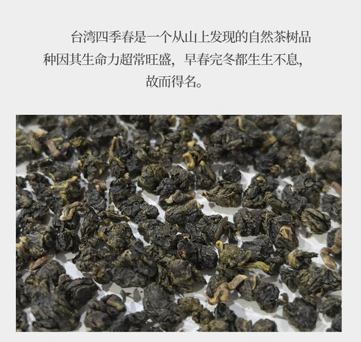 台湾四季春高山乌龙茶 75克 商品图5