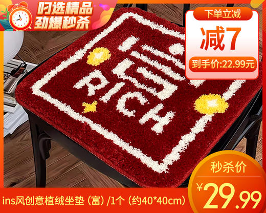ins风创意植绒坐垫（富）/1个（约40*40cm）补单专用 商品图0