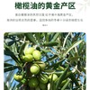 皇冠特级初榨橄榄油500ml/瓶 商品缩略图2