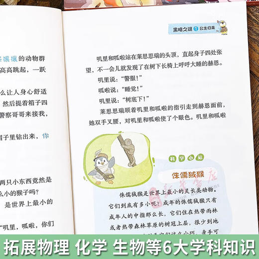 神探迈克狐系列图书一二三四五辑神秘组织篇千面怪盗篇侦探大赛篇小学生少儿科学侦探故事推理书 商品图3