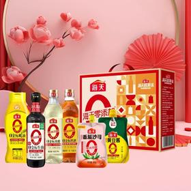 海天·0添加调味品礼盒-实惠装