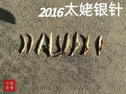 【准9年醇“酿”】2016太姥银针，深藏于岁月深处的那一抹绿雪芽！ 商品图4