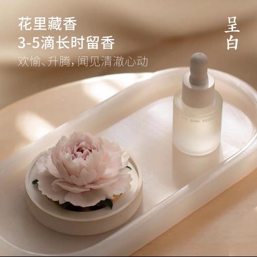 呈白 【芍药花】非遗瓷花香薰礼盒香氛礼物十二花神 商品图2