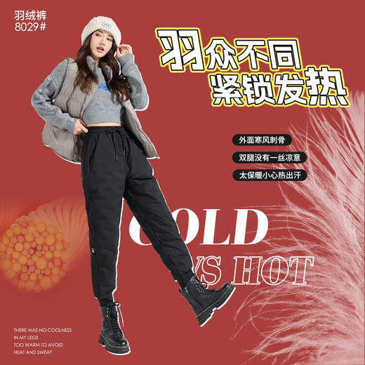 【靠谱国货老牌 高克重充绒量】雪中飞防风防泼防污90白鸭绒羽绒裤 商品图1