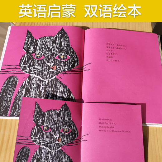 【青葫芦】凯迪克银奖绘本 杰克盖的小房子 商品图3