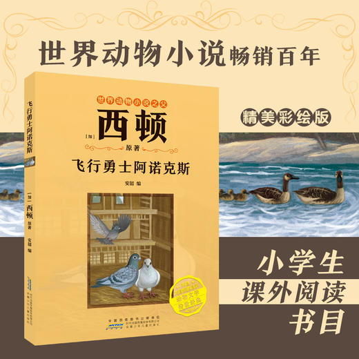 飞行勇士阿诺克斯 [加]西顿/ 原著fb安韶编/安徽少年儿童出版社 外国文学/动物小说 商品图0