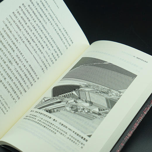 不可计算：漫长数字时代的游戏与政治（守望者·镜与灯） 商品图7