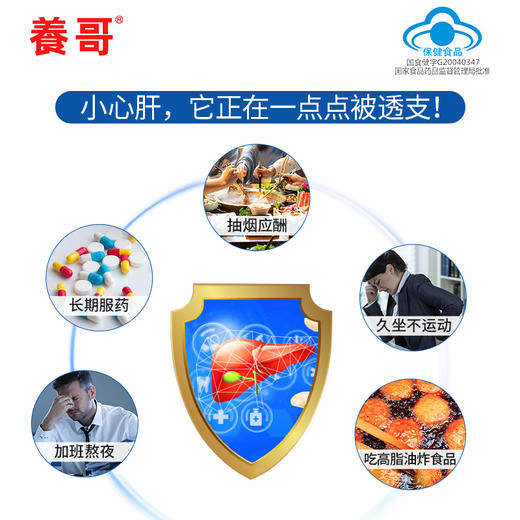 【2盒装共8片】养哥枸杞栀子片 解酒养护对化学性肝损伤有辅助保护作用 2盒共8片 商品图1