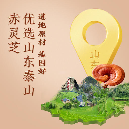 【官方正品】云南白药千草堂养之素破壁灵芝孢子粉胶囊0.3g*40粒增强免疫力破壁好吸收 商品图4