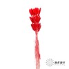 干花 | 兔尾草红 商品缩略图2