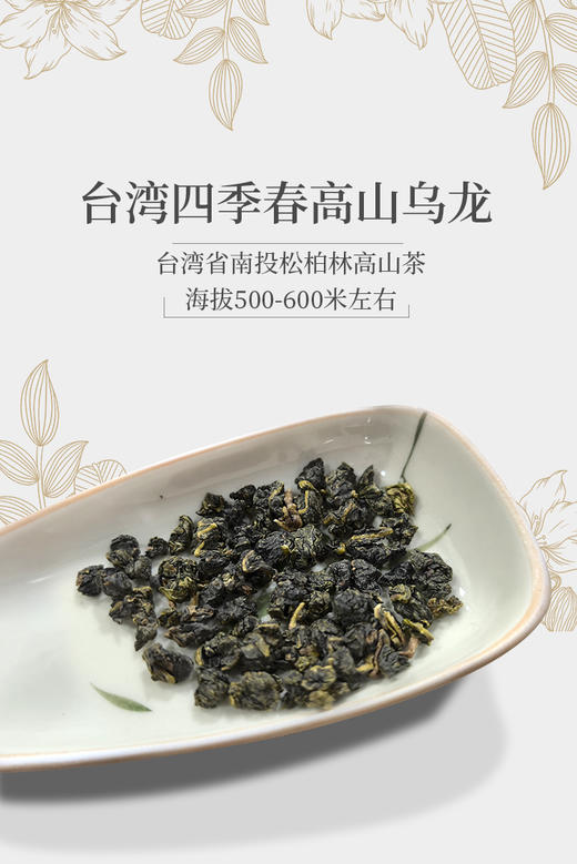 台湾四季春高山乌龙茶 75克 商品图1