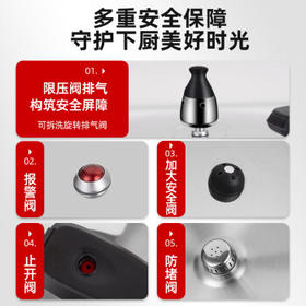 双喜高压锅304不锈钢燃气电磁炉通用多重防爆家用快煮压力锅20cm/4L