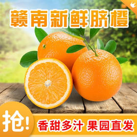 江西赣南脐橙 4.5-5斤超大果（90-100mm） 240-350g/个