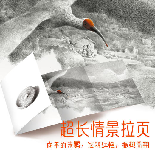 【青葫芦】非凡动物绘本：“东方宝石”朱鹮 生命教育绘本 商品图3