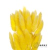 干花 | 兔尾草黄 商品缩略图3