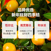 2025年宵花·五台山联名四季桔盆栽 ｜新客福利 商品缩略图2