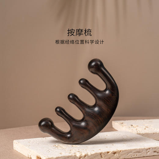代字行| 头部护理经络按摩梳 实木 商品图1
