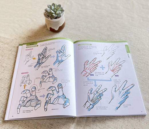 加加美高浩的手部绘画技法 Ⅰ+Ⅱ 手部绘画技法教程 动漫人物手及手臂姿态绘画技法手及手臂解剖结构分析阴影表现上色书籍 商品图5