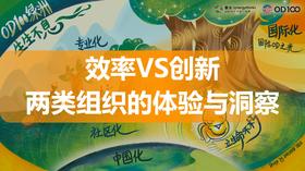 岳三峰：效率VS创新——两类组织的体验与洞察