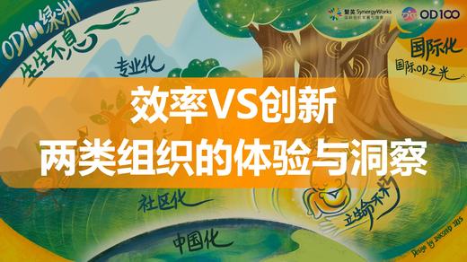 岳三峰：效率VS创新——两类组织的体验与洞察 商品图0