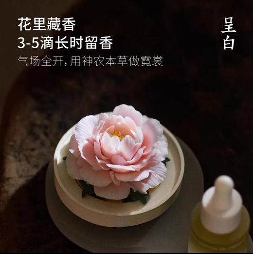 呈白 【牡丹花】非遗瓷花香薰礼盒香氛礼物 商品图3