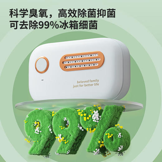 【分仓直发包邮】绿之源冰箱除味杀菌器（颜色可选墨绿色/白色） 商品图3