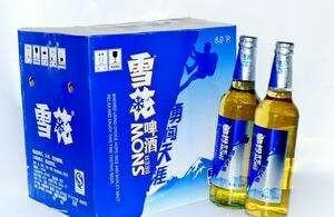 【啤酒】雪花勇闯天涯12瓶500毫升