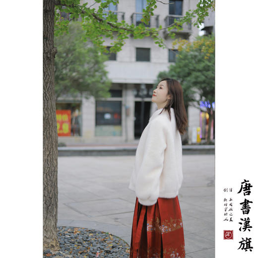 【蝶恋花·霞坞】新中式国风套装织金印花工艺国风马面裙套装 商品图2