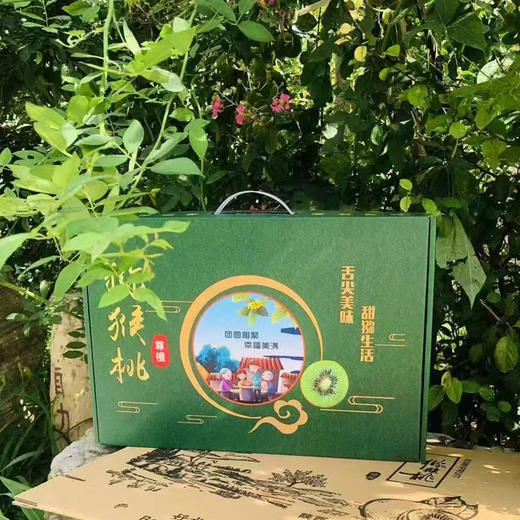 陕西徐香猕猴桃 农家自种绿心猕猴桃  新鲜采摘 香甜细腻 商品图5