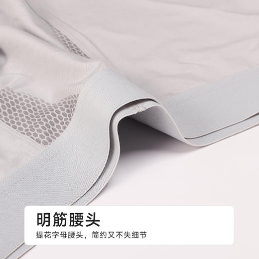 都市丽人棉平角50S水柔棉简约基础草本养生系列平角裤FKHC08 商品图5