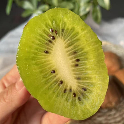 陕西徐香猕猴桃 农家自种绿心猕猴桃  新鲜采摘 香甜细腻 商品图4
