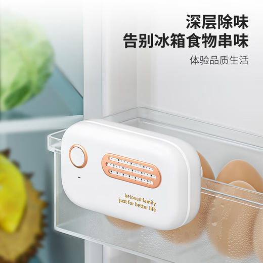【分仓直发包邮】绿之源冰箱除味杀菌器（颜色可选墨绿色/白色） 商品图4