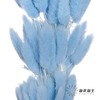 干花 | 兔尾草蓝色 商品缩略图3