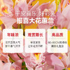 2025年宵花·大花蕙兰3枝花剑 粉色/橙色可选｜新客福利 商品缩略图5