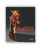 Ikebana Through All the Seasons / 四季插花 商品缩略图0