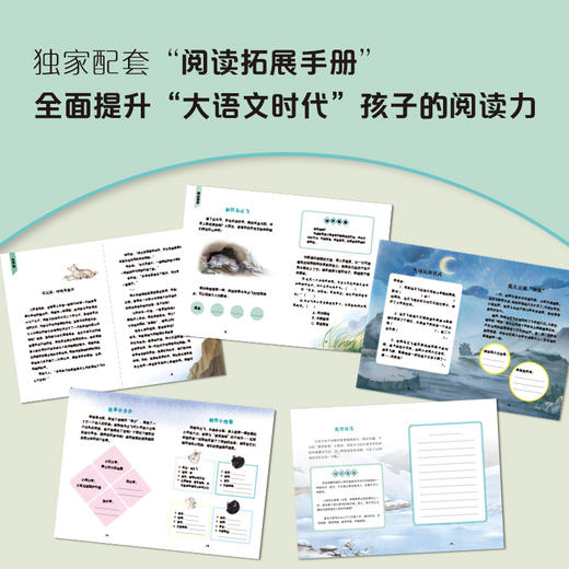 孤勇羊王之落入狼爪 注音版 沈石溪 动物小说大王fb 安徽少年儿童出版社 商品图3