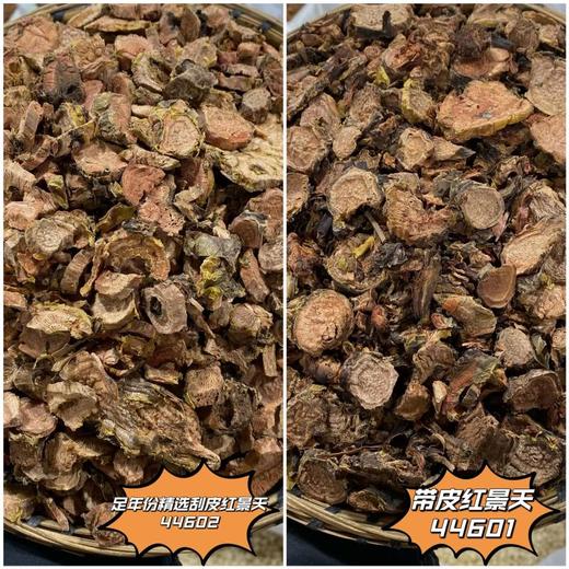 红景天 商品图0