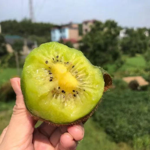 陕西徐香猕猴桃 农家自种绿心猕猴桃  新鲜采摘 香甜细腻 商品图1